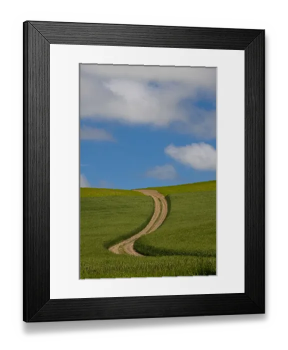 Framed Print : North America; USA; Washington; Palouse Country; Back Country Road Through Spring Wheat Field