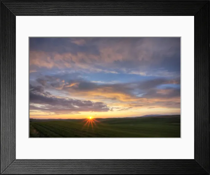 Framed Print : North America; USA; Washington; Palouse Country; Rolling Hills of Green Spring Wheat Framed Print : North America; USA; Washington; Palouse Country; Rolling Hills of Green Spring Wheat