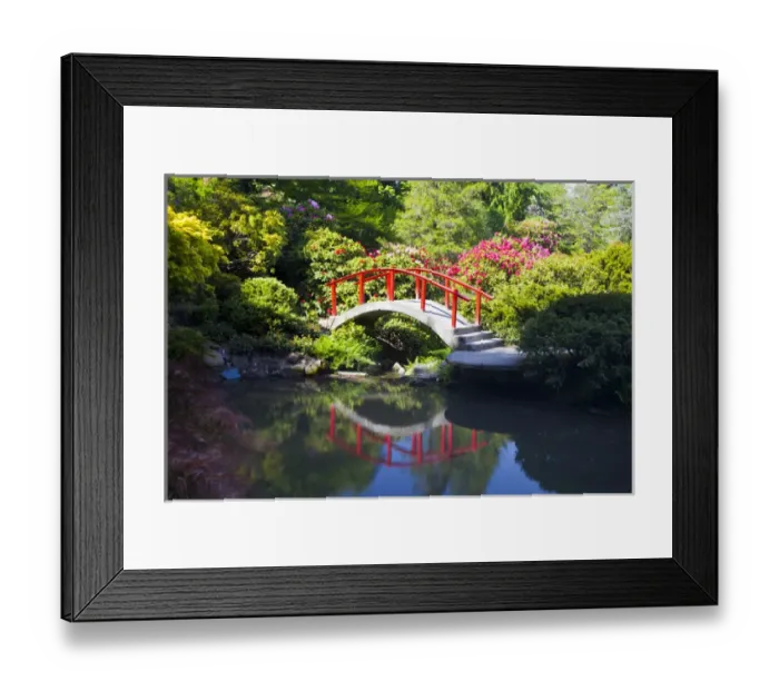 Framed Print : North America; USA; Washington; Seattle; Kabota Gardens; Spring Flowers and Moon Bridge Framed Print : North America; USA; Washington; Seattle; Kabota Gardens; Spring Flowers and Moon Bridge