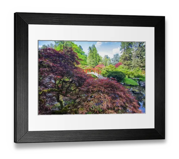Framed Print : North America; USA; Washington; Seattle; Kabota Gardens; Spring Flowers and Japanese Framed Print : North America; USA; Washington; Seattle; Kabota Gardens; Spring Flowers and Japanese