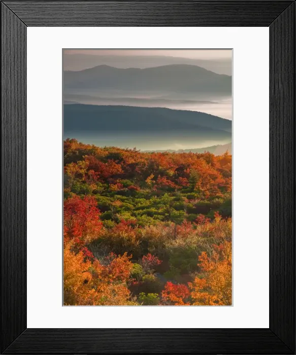 Framed Print : USA, West Virginia, Dolly Sods Wilderness. Sunrise on autumn landscape. Credit as Framed Print : USA, West Virginia, Dolly Sods Wilderness. Sunrise on autumn landscape. Credit as