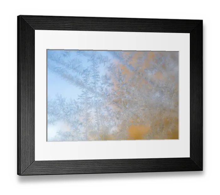 Framed Print : USA, Wisconsin, Madison. Frost patterns formed on glass