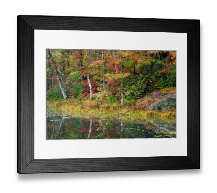Framed Print : USA, West Virginia, Babcock State Park. Credit as: Jay O Brien / Jaynes Gallery Framed Print : USA, West Virginia, Babcock State Park. Credit as: Jay O Brien / Jaynes Gallery