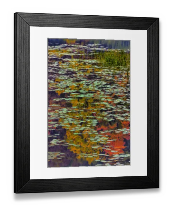 Framed Print : USA, West Virginia, Babcock State Park. Lily pads and autumn reflections. Credit as Framed Print : USA, West Virginia, Babcock State Park. Lily pads and autumn reflections. Credit as