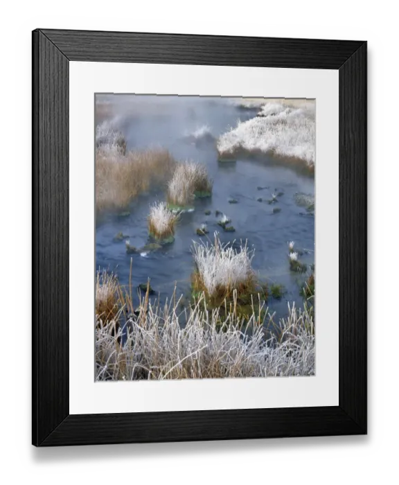 Framed Print : USA, Wyoming, Yellowstone National Park. Frost along White Creek Framed Print : USA, Wyoming, Yellowstone National Park. Frost along White Creek