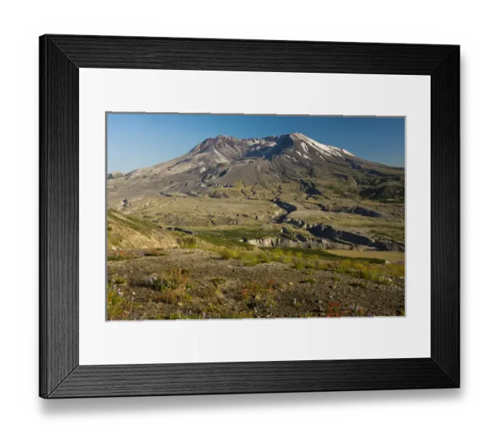 Framed Print : Mount St. Helens; evening; summer; Boundary Trail; Washington; USA Framed Print : Mount St. Helens; evening; summer; Boundary Trail; Washington; USA