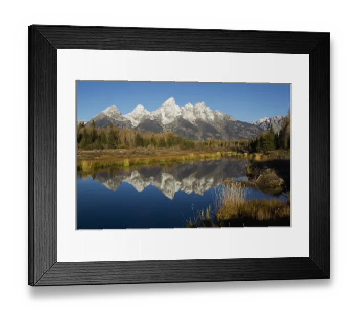 Framed Print : Beaver Pond, Grand Tetons