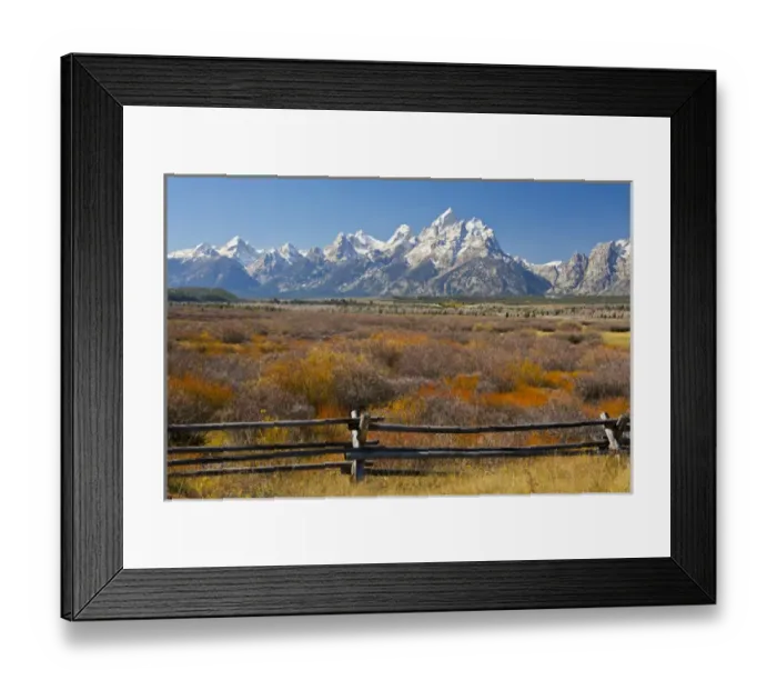 Framed Print : autumn color; Grand Tetons; Buck-and_rail Fence; from Cunningham Cabin; Grand Teton Framed Print : autumn color; Grand Tetons; Buck-and_rail Fence; from Cunningham Cabin; Grand Teton