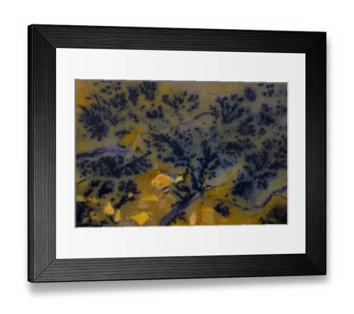 Framed Print : Dendritic Jasper