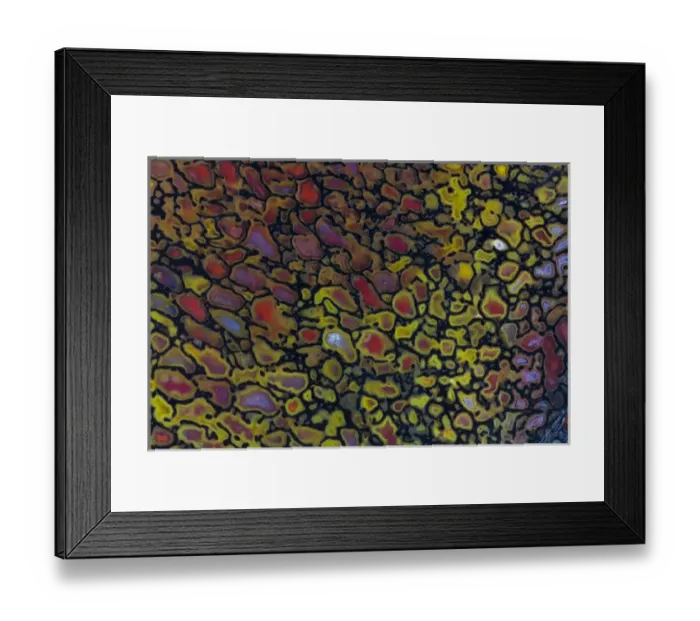 Framed Print : Dinosaur Petrified Bone Framed Print : Dinosaur Petrified Bone