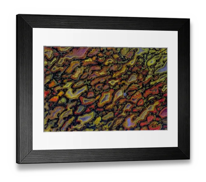 Framed Print : Dinosaur Petrified Bone Framed Print : Dinosaur Petrified Bone
