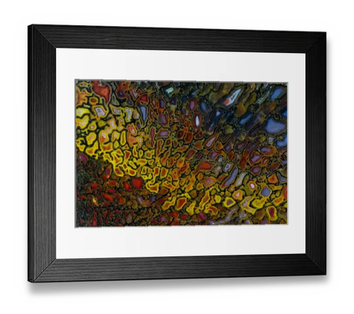 Framed Print : Dinosaur Petrified Bone