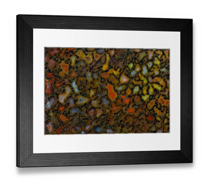Framed Print : Dinosaur Petrified Bone Framed Print : Dinosaur Petrified Bone