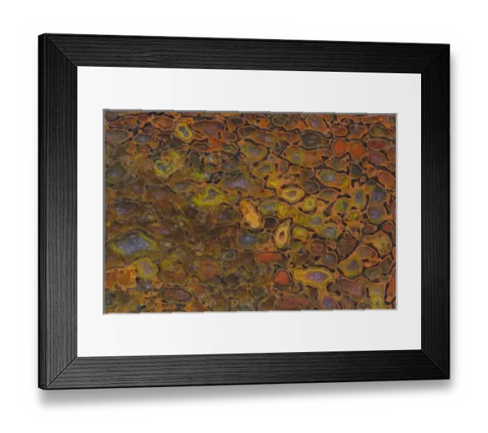Framed Print : Dinosaur Petrified Bone Framed Print : Dinosaur Petrified Bone
