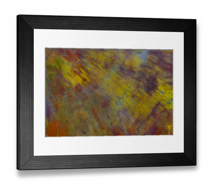 Framed Print : Petrified Wood close-up Framed Print : Petrified Wood close-up