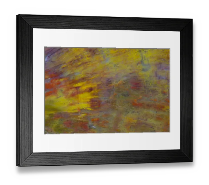 Framed Print : Petrified Wood close-up Framed Print : Petrified Wood close-up