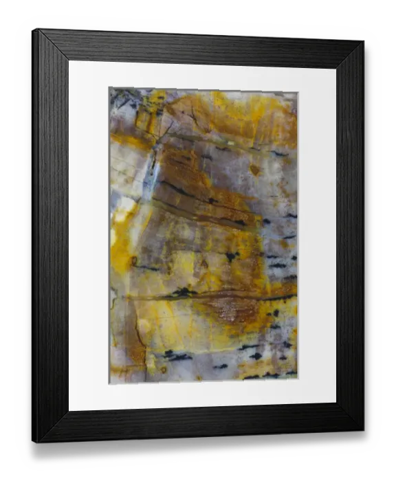 Framed Print : Petrified Wood close-up Framed Print : Petrified Wood close-up