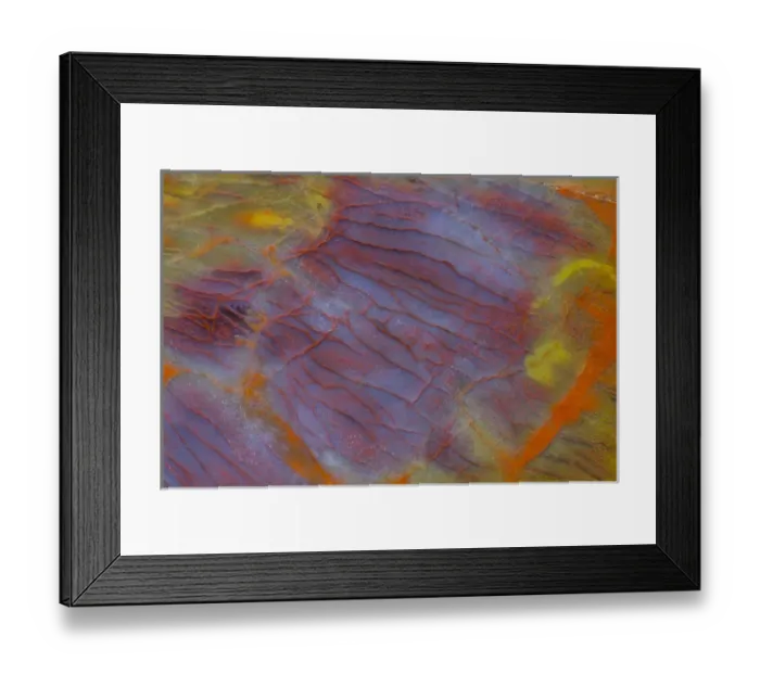 Framed Print : Petrified Wood close-up