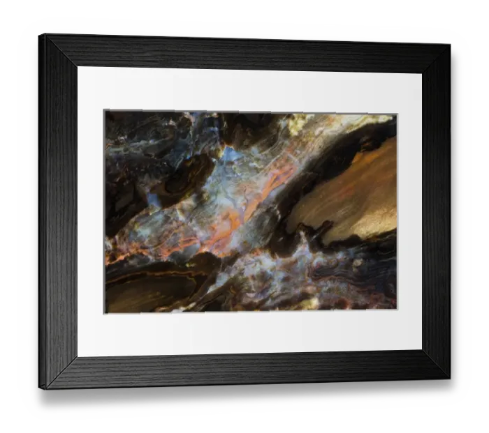 Framed Print : Petrified Wood close-up Framed Print : Petrified Wood close-up