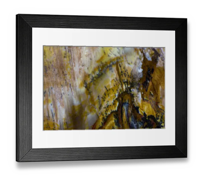 Framed Print : Petrified Wood close-up