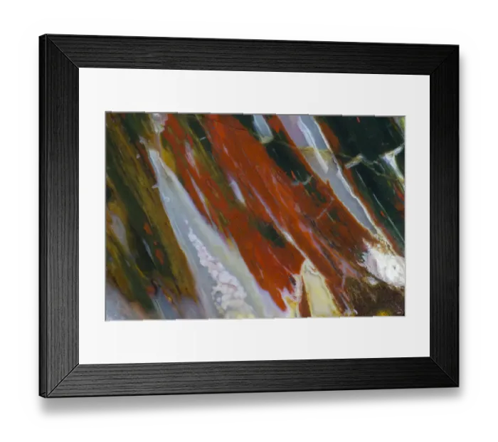 Framed Print : Petrified Wood close-up Framed Print : Petrified Wood close-up