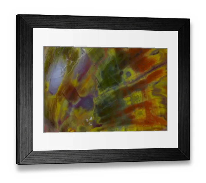 Framed Print : Petrified Wood close-up Framed Print : Petrified Wood close-up