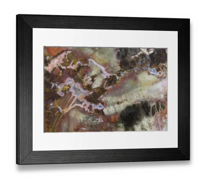 Framed Print : Petrified Wood close-up Framed Print : Petrified Wood close-up
