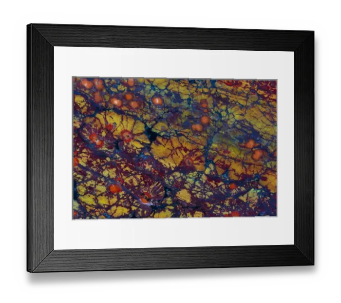 Framed Print : Poppy Jasper Framed Print : Poppy Jasper