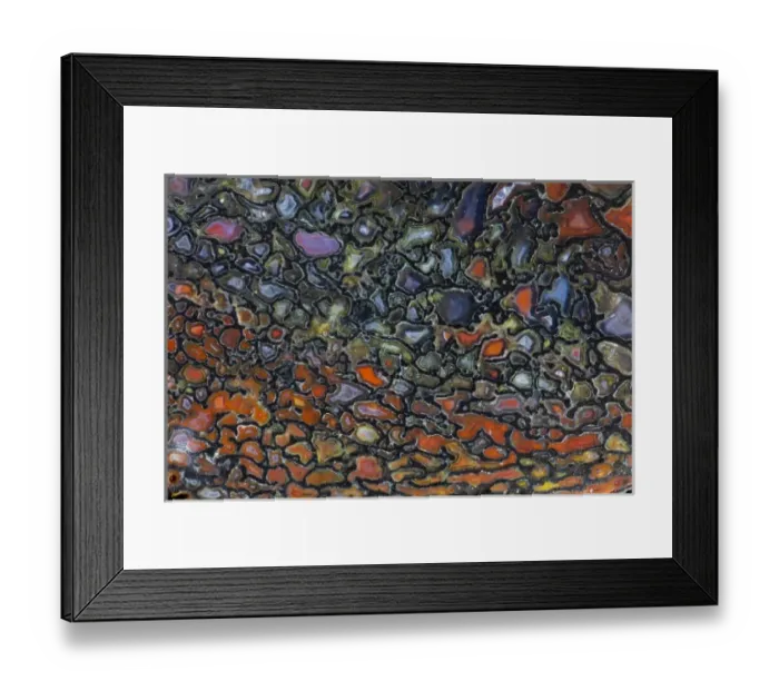 Framed Print : Colorful Petrified Dinosaur Bone