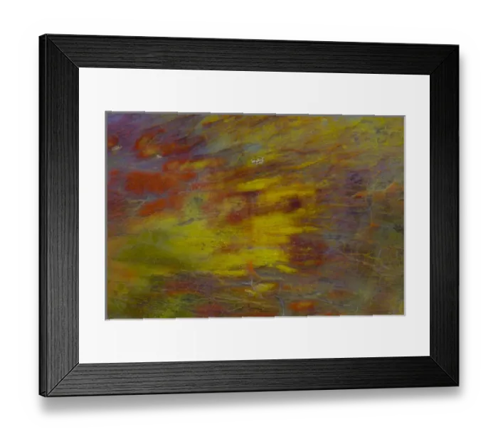 Framed Print : Petrified Wood close-up Framed Print : Petrified Wood close-up