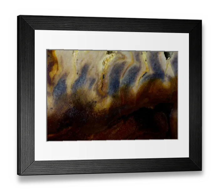 Framed Print : Petrified Wood close-up