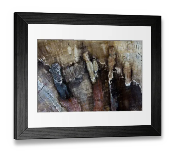 Framed Print : Petrified Wood close-up