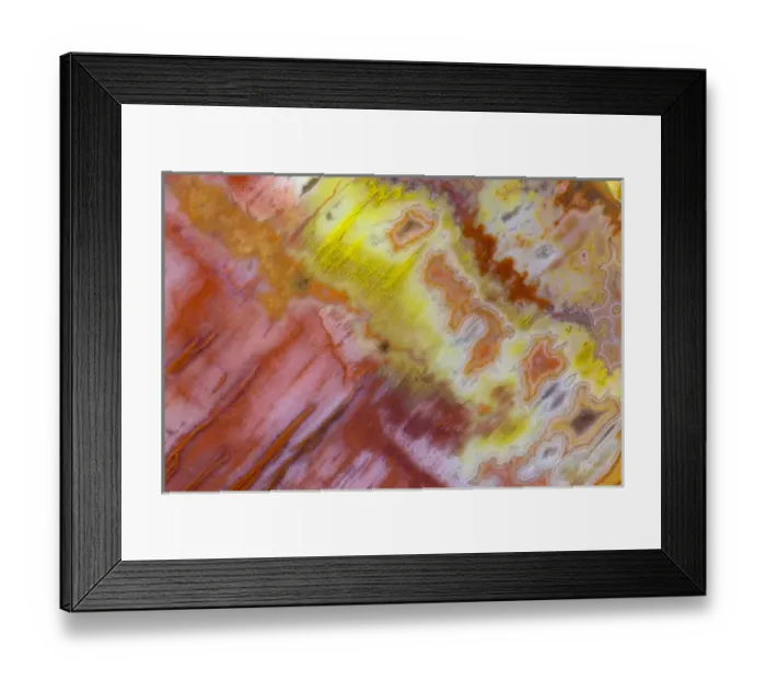 Framed Print : Petrified Wood close-up