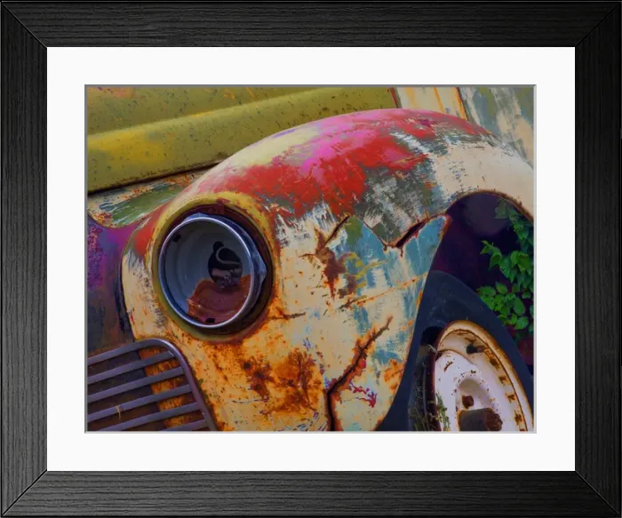 Framed Print : Detail of an abandoned Chevrolet truck headlight