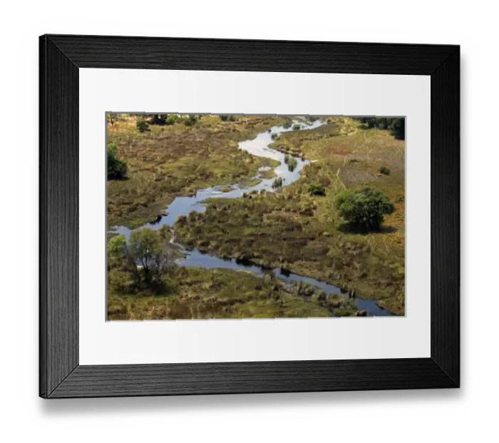 Framed Print : Africa, Botswana, Okavango Delta. Okavango tributary and landscape