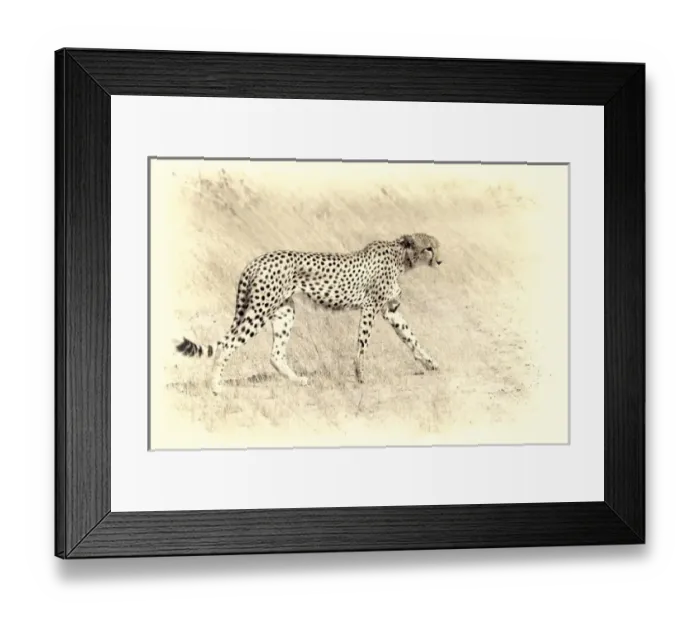 Framed Print : graceful cheetah artistic version walking Framed Print : graceful cheetah artistic version walking