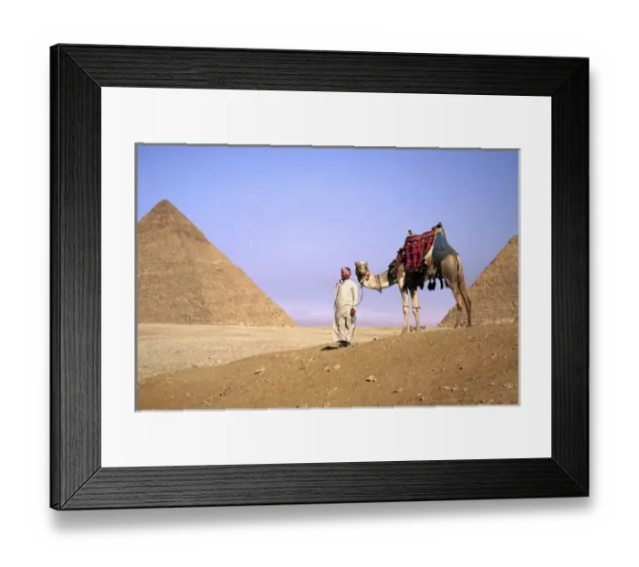 Framed Print : Egypt, Cairo, Giza, A proud Egyptian man guides his camel in front of the Great Pyramids