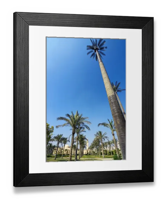 Framed Print : New Cairo or El Kahera El Ghedida or El-Qahira El-Gedida, Cairo, Egypt, North Africa Framed Print : New Cairo or El Kahera El Ghedida or El-Qahira El-Gedida, Cairo, Egypt, North Africa