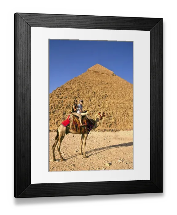 Framed Print : Tourists ride a camel in front of the Great Pyramids of Egypt in Cairo on the Giza Framed Print : Tourists ride a camel in front of the Great Pyramids of Egypt in Cairo on the Giza