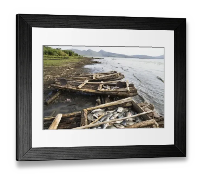 Framed Print : Fishermen on Lake Chamo, Arba Minch, Ethiopia Framed Print : Fishermen on Lake Chamo, Arba Minch, Ethiopia