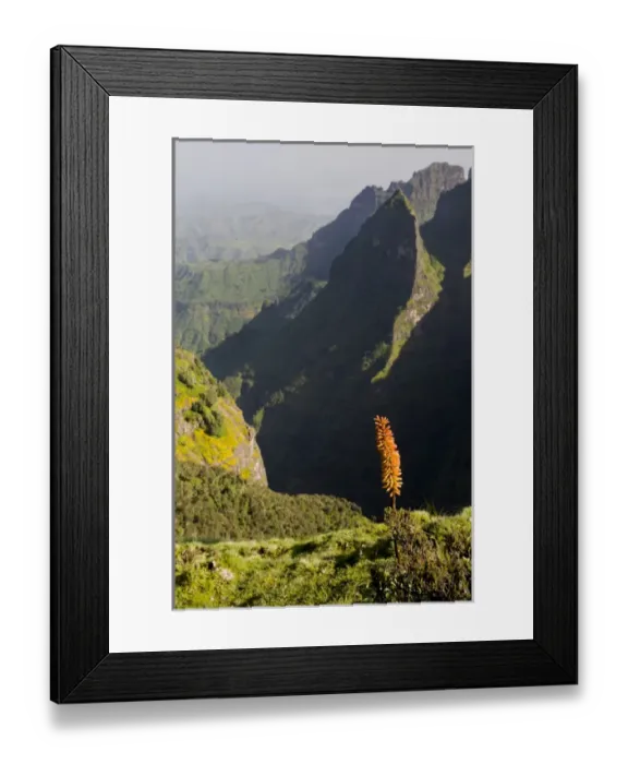 Framed Print : Africa, Ethiopia, Ethiopian Highlands, Western Amhara, Simien Mountains National Park Framed Print : Africa, Ethiopia, Ethiopian Highlands, Western Amhara, Simien Mountains National Park