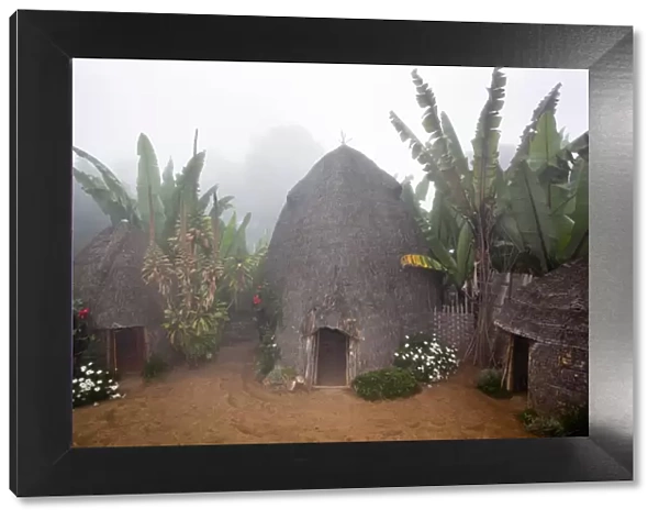A Dorze compound with banana grove in foggy weather