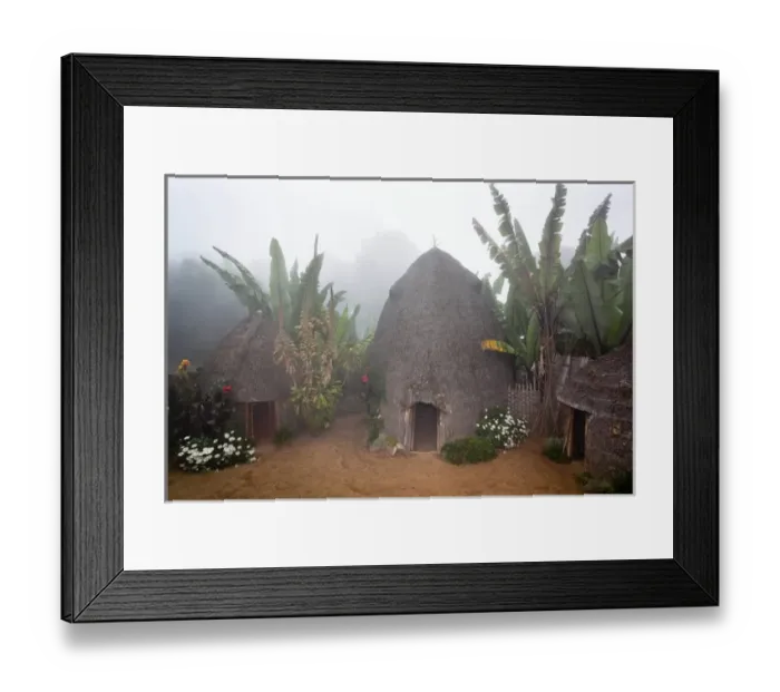 Framed Print : A Dorze compound with banana grove in foggy weather Framed Print : A Dorze compound with banana grove in foggy weather