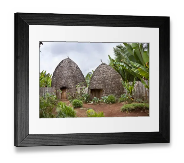 Framed Print : Huts of the Dorze people in the Guge Mountains of Ethiopia with groves of cooking banana, enset Framed Print : Huts of the Dorze people in the Guge Mountains of Ethiopia with groves of cooking banana, enset