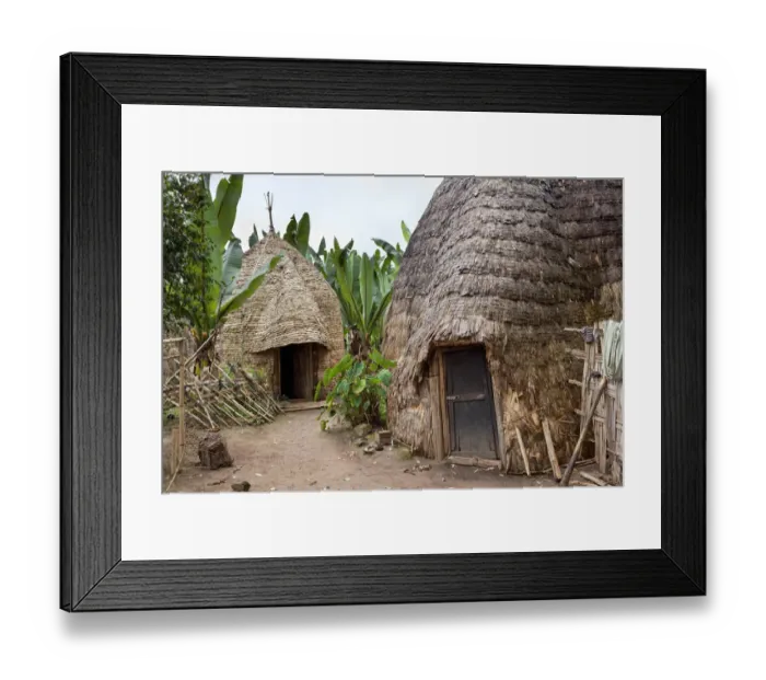 Framed Print : Huts of the Dorze people in the Guge Mountains of Ethiopia with groves of cooking banana, enset