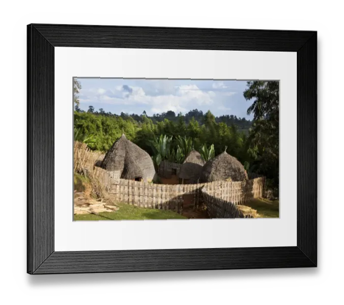 Framed Print : Huts of the Dorze people in the Guge Mountains of Ethiopia with groves of cooking banana, enset Framed Print : Huts of the Dorze people in the Guge Mountains of Ethiopia with groves of cooking banana, enset