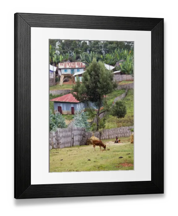 Framed Print : Dorze in the Guge Mountains, Ethiopia Framed Print : Dorze in the Guge Mountains, Ethiopia