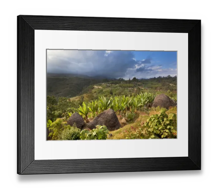 Framed Print : Huts of the Dorze people in the Guge Mountains of Ethiopia with groves of cooking banana, enset Framed Print : Huts of the Dorze people in the Guge Mountains of Ethiopia with groves of cooking banana, enset