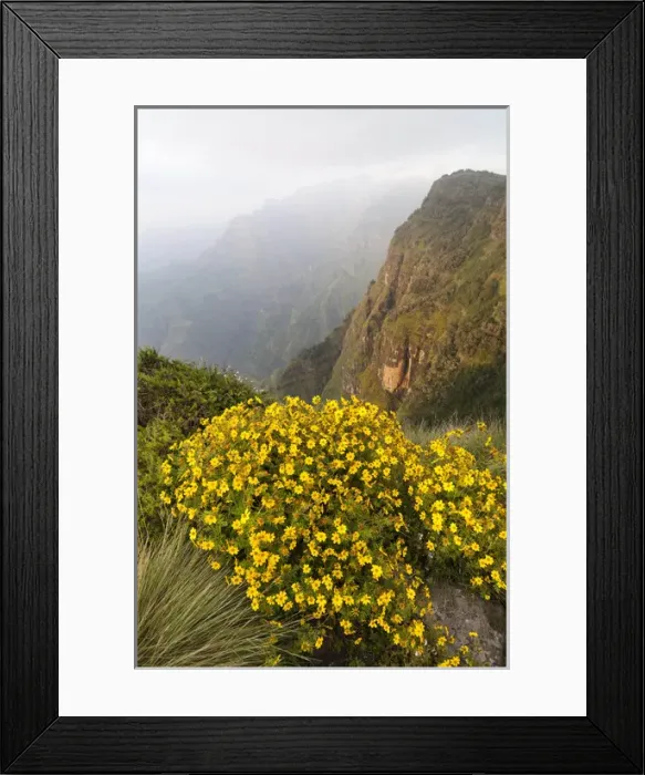 Framed Print : Landscape in the Semien Mountains National Park, Ethiopia