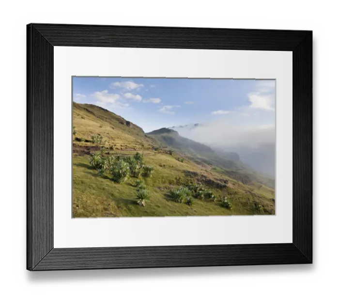 Framed Print : Landscape in the Semien Mountains National Park, Ethiopia Framed Print : Landscape in the Semien Mountains National Park, Ethiopia